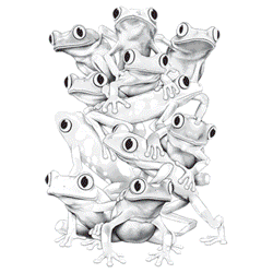 BALANCING ACT 09948SA6.gif